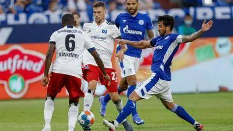 马的兴趣观 马的兴趣观