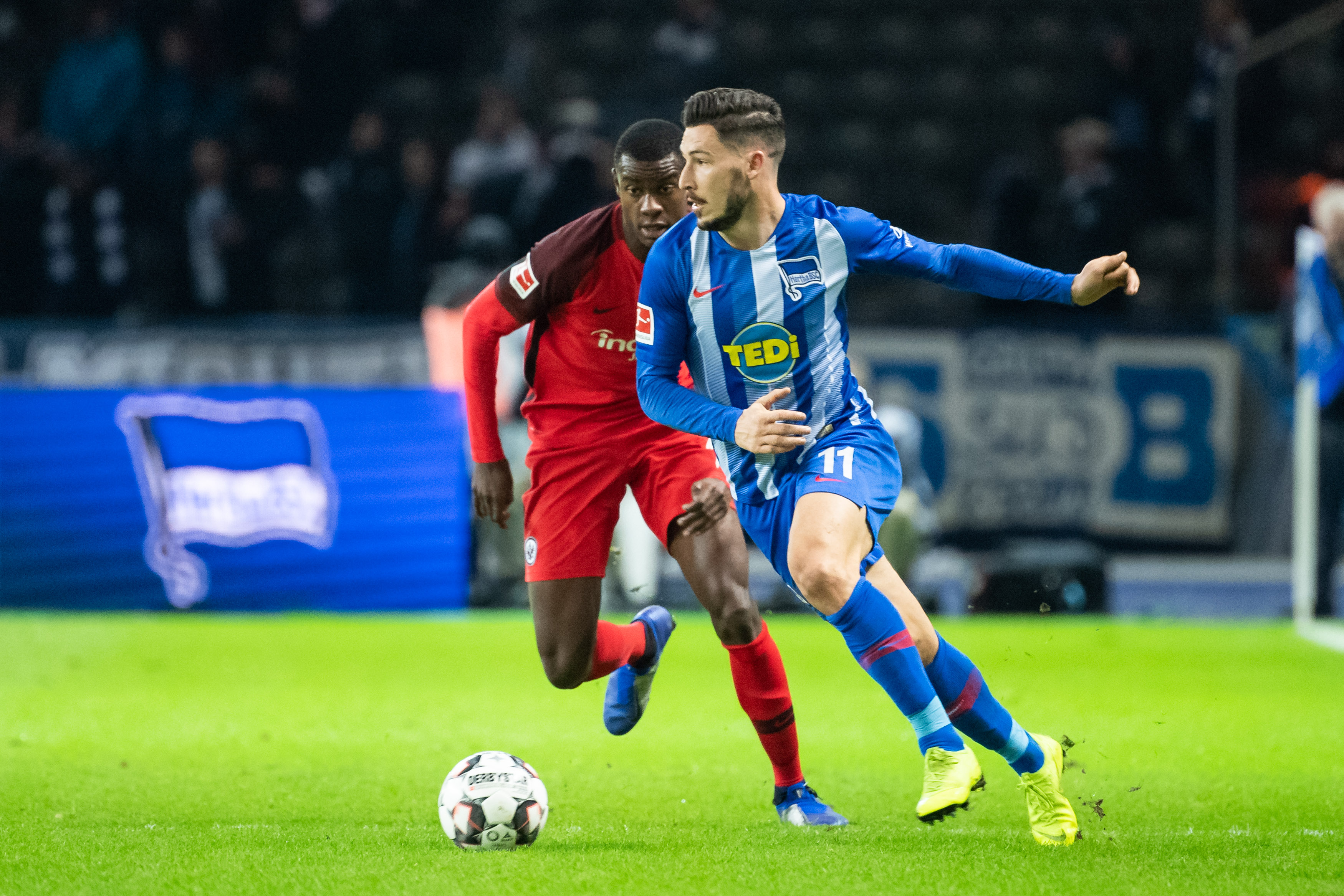 极性不仅提 极性不仅提